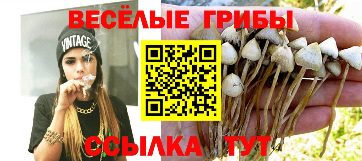 Псилоцибиновые грибы прущие грибы  Вход с VPN  хочу наркоту  Большой Камень 